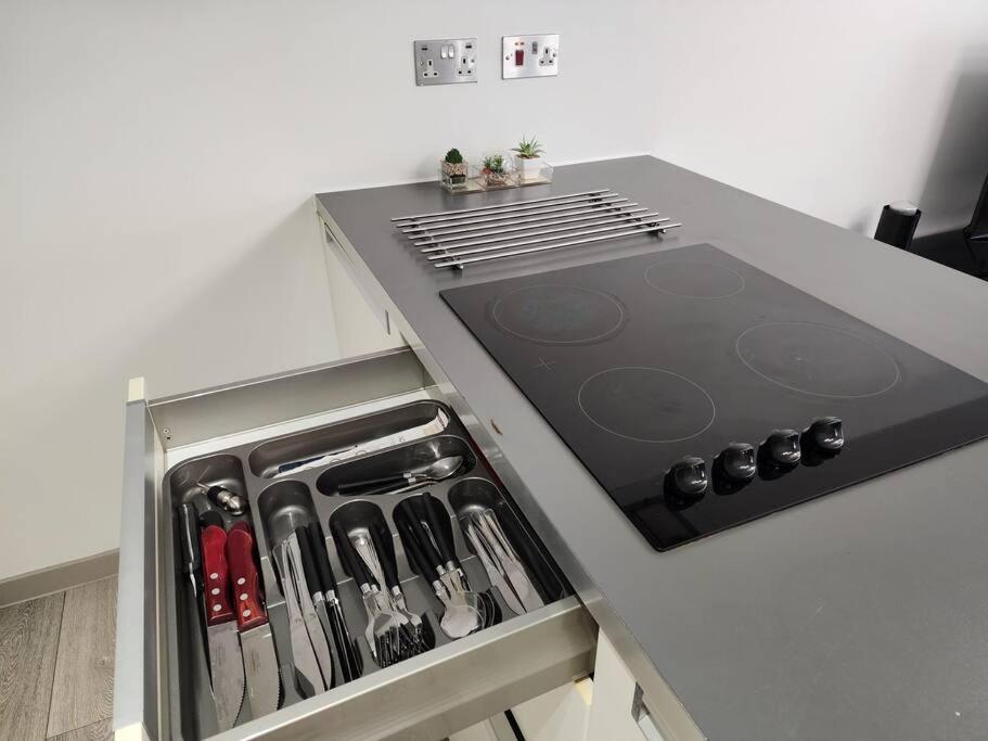 Apartment Horizon House, Luxury 2-bedroom Flat 3 *